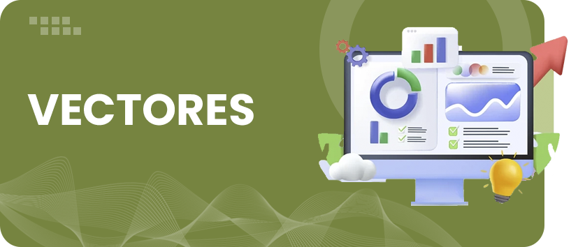categorias-vectores